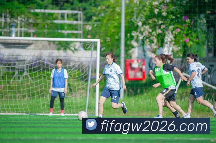 FIFA官网发展历程